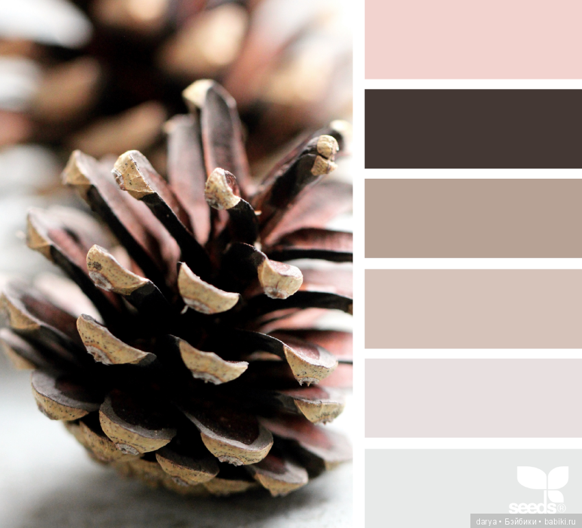 Природа, цветы. Сочетание цветов