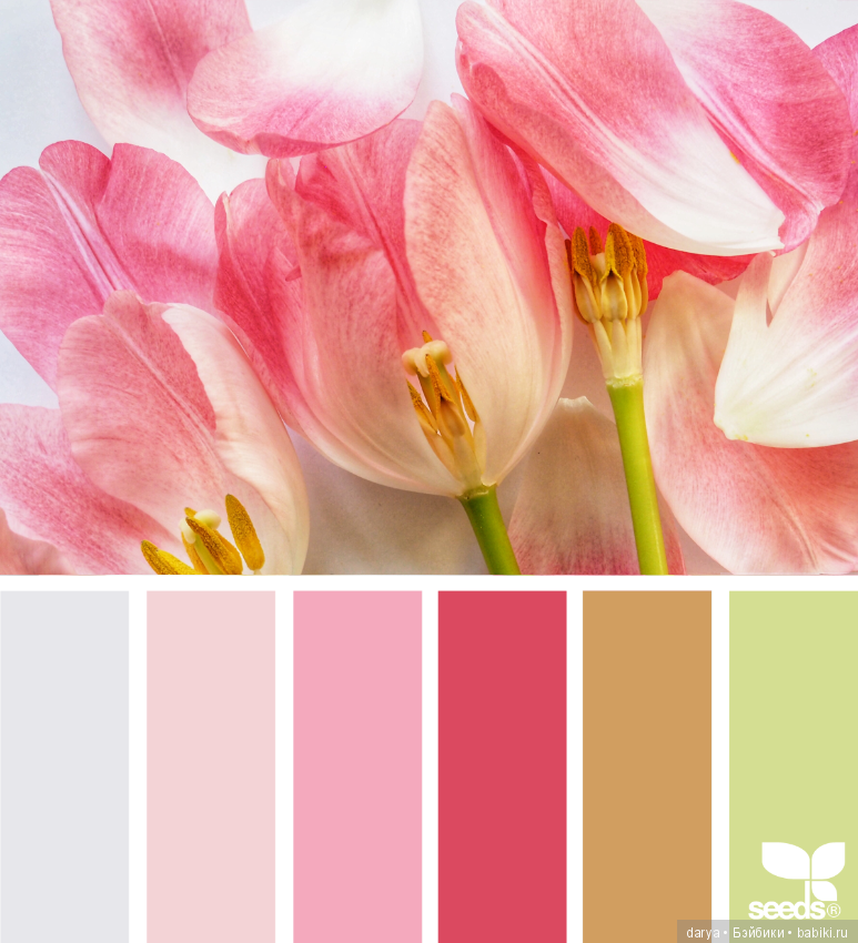 Природа, цветы. Сочетание цветов (фото 9)