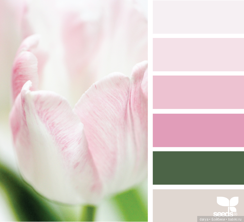 Природа, цветы. Сочетание цветов