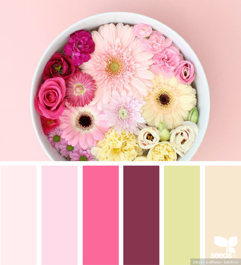 Природа, цветы. Сочетание цветов