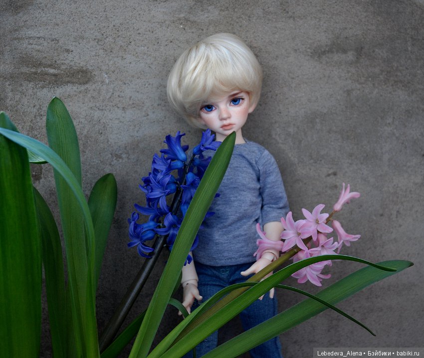 Габи и гиацинты — Куклы DIM (Doll in Mind): корейские BJD (БЖД) (фото 7)