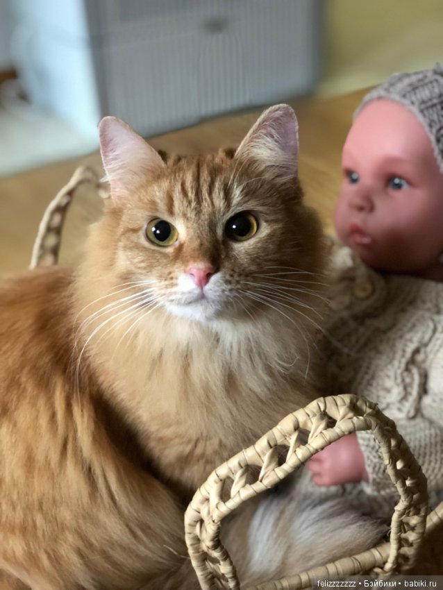 Благодарности пост — Болталка и разговоры обо всем: жизнь