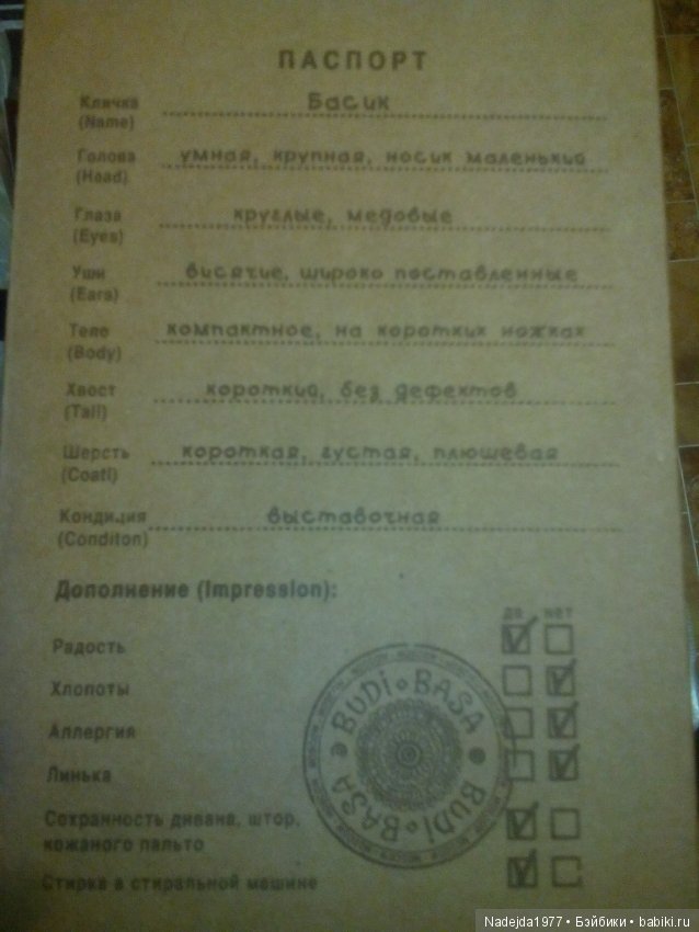 Машин Тихон. Подарок на 8 марта (фото 2)