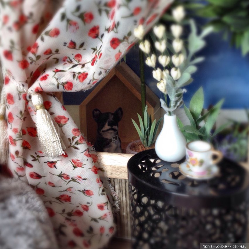 Мастер на все руки и любимый помощник, необыкновенный Феликс (фото 8)