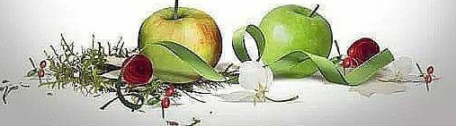 Сказочный мир иллюстратора Н.М.Кочергина