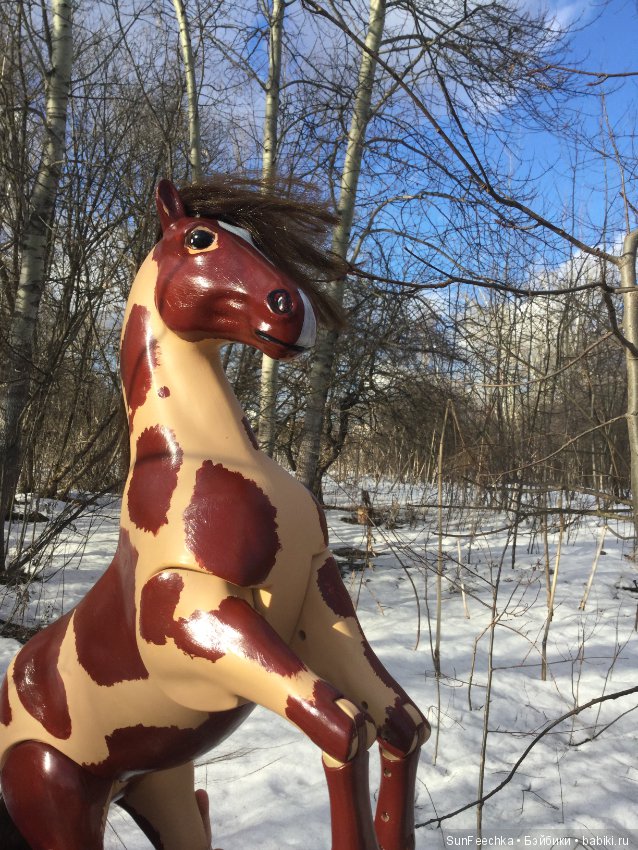 Рождение Техаса или просто переделка лошади Batat (фото 9)