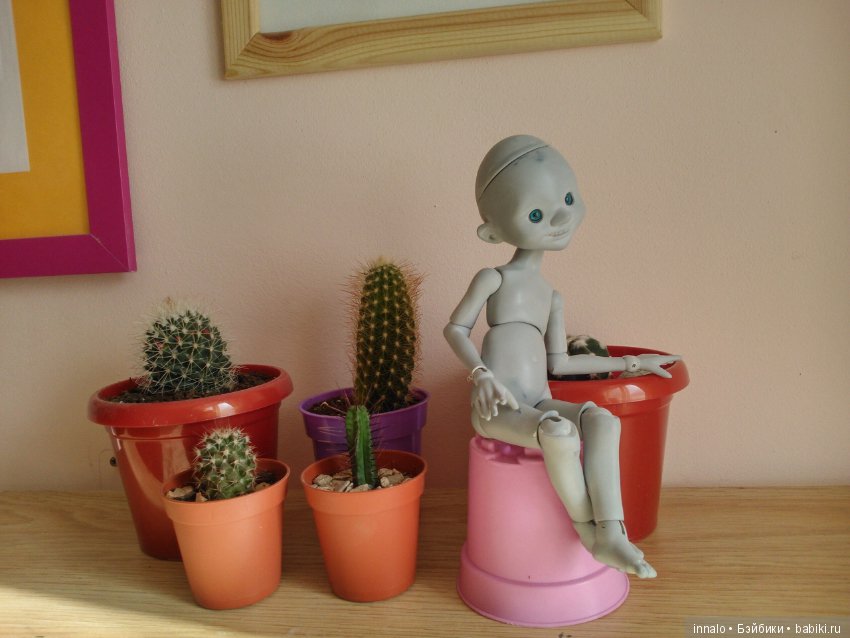 Продлен предзаказ на тановых Томми и Оливера (фото 5)