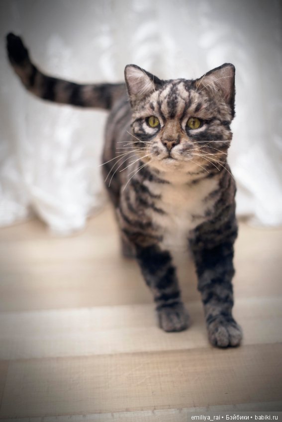 Полосатая кошечка. Реалистичная игрушка