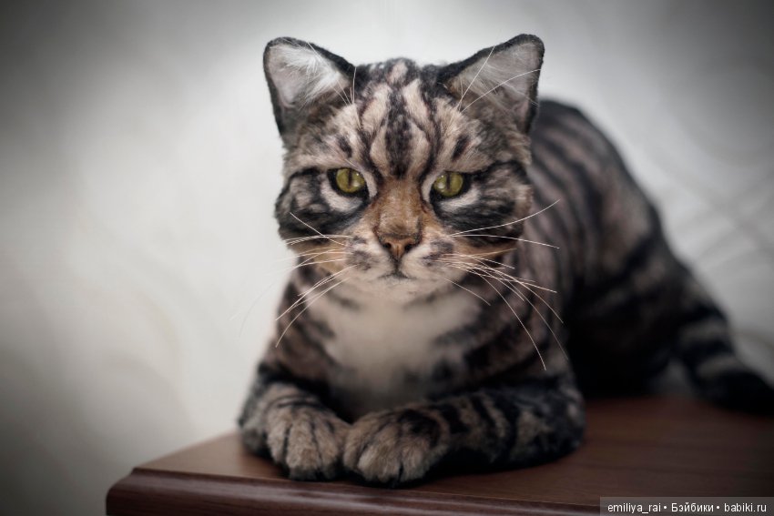 Полосатая кошечка. Реалистичная игрушка (фото 8)