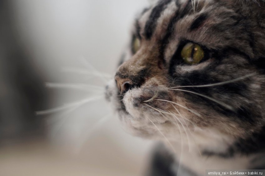 Полосатая кошечка. Реалистичная игрушка