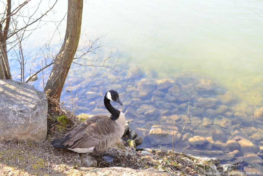 Плюшки и весна — Куклы Heidi Plusczok (Хайди/Хейди Плюсчок) — фото (фото 9)