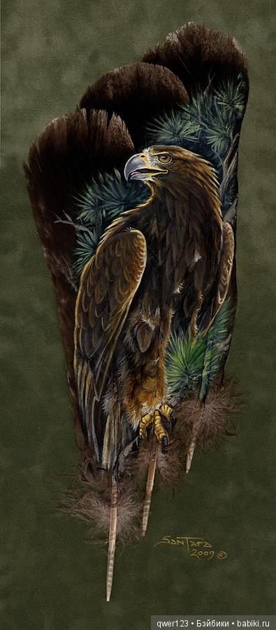 Удивительная роспись на перьях от Sandra San Tara (США) (фото 4)