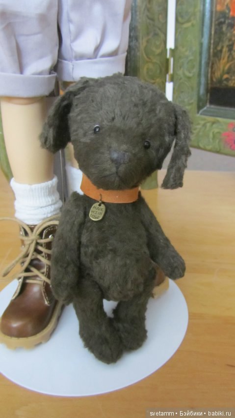 Мисси - девочка, красавица!! и полюбоваться (фото 9)