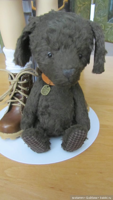 Мисси - девочка, красавица!! и полюбоваться (фото 10)