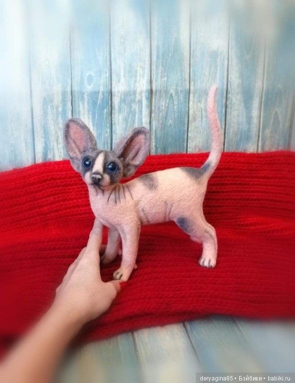 Котёнок сфинкса — Валяные игрушки из шерсти: сухое валяние (фото 3)