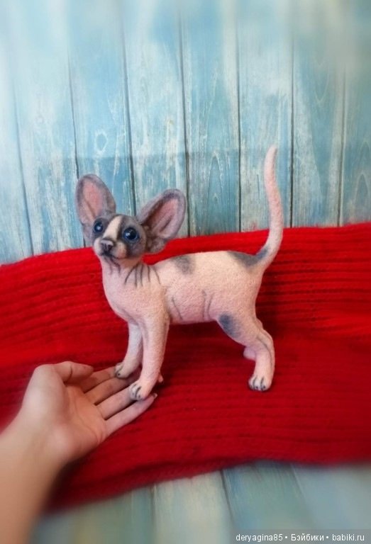 Котёнок сфинкса — Валяные игрушки из шерсти: сухое валяние (фото 7)