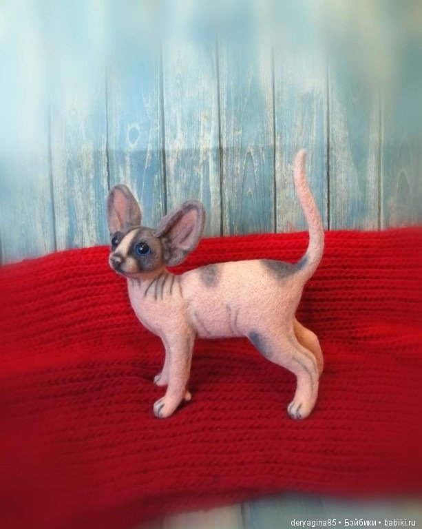 Котёнок сфинкса — Валяные игрушки из шерсти: сухое валяние (фото 6)