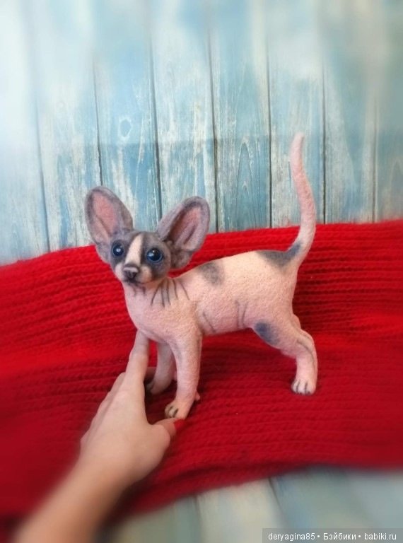 Котёнок сфинкса — Валяные игрушки из шерсти: сухое валяние (фото 2)