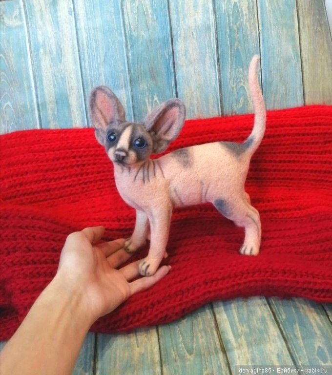 Котёнок сфинкса — Валяные игрушки из шерсти: сухое валяние (фото 8)