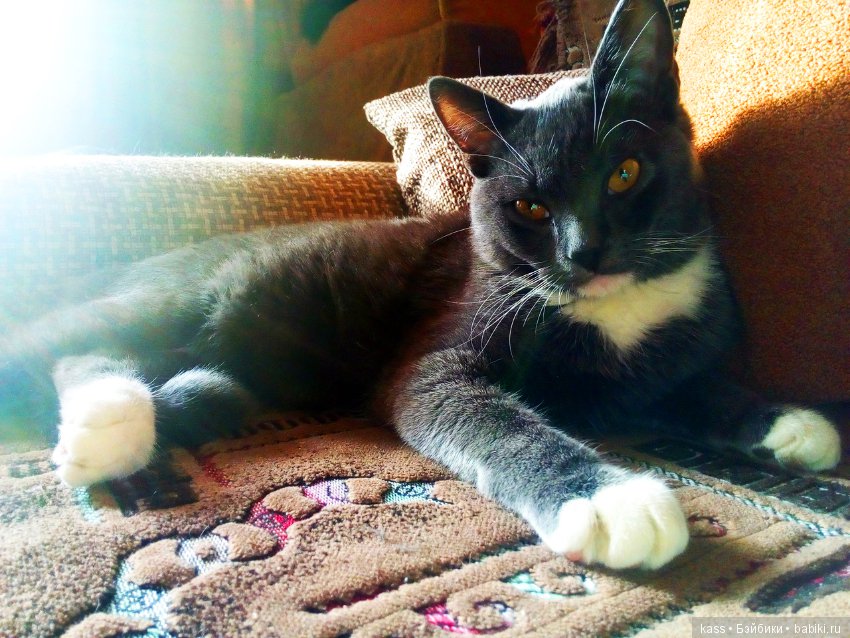 Девочка-без-имени или Моя большая любовь (фото 6)