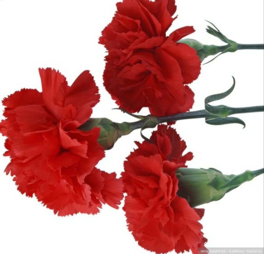 Всем ушедшим… Мамам посвящается… Стихи о вечной любви и памяти