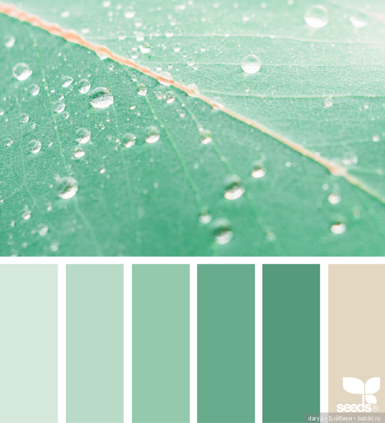 Сочетание цветов — Сочетание цветов: палитры для одежды и интерьера (фото 5)