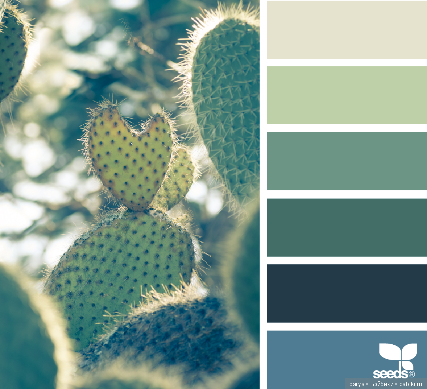 Сочетание цветов — Сочетание цветов: палитры для одежды и интерьера