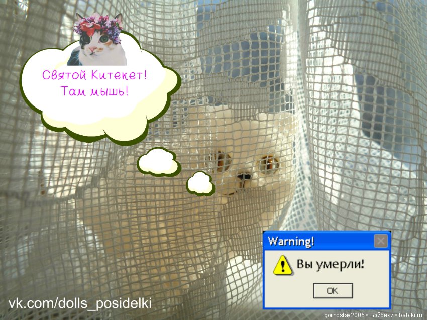 Про мыша. Слабонервным не входить (фото 7)