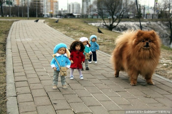 Фотомарафон "Случайно в кадре" (фото 3)