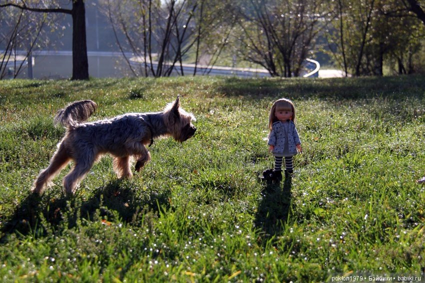 Фотомарафон "Случайно в кадре" (фото 5)