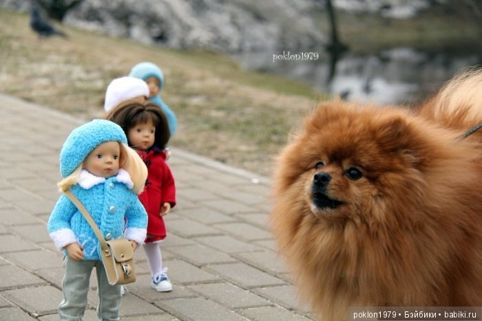 Фотомарафон "Случайно в кадре" (фото 4)