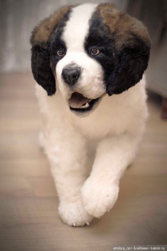 Сенбернар. Живая игрушка — Авторские мишки Тедди и друзья: фото (фото 8)