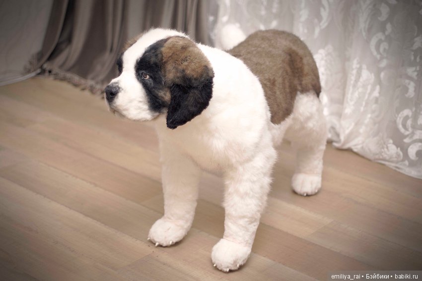 Сенбернар. Живая игрушка — Авторские мишки Тедди и друзья: фото (фото 5)