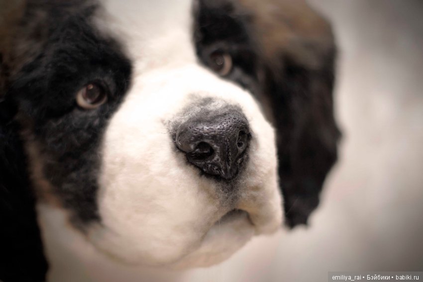 Сенбернар. Живая игрушка — Авторские мишки Тедди и друзья: фото (фото 10)