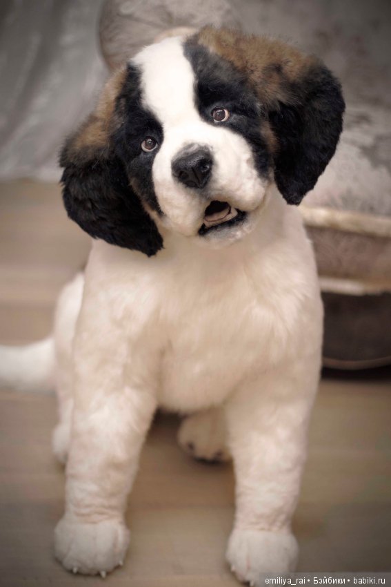 Сенбернар. Живая игрушка — Авторские мишки Тедди и друзья: фото