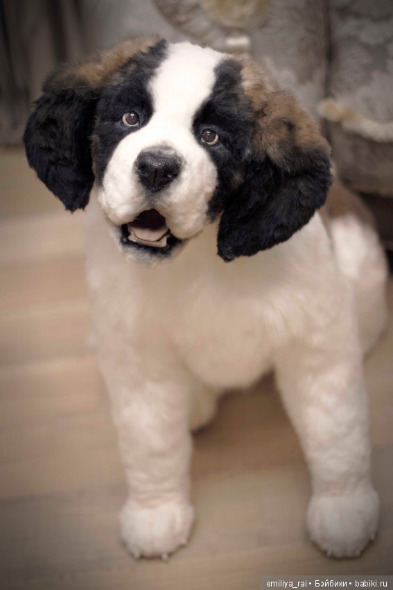 Сенбернар. Живая игрушка — Авторские мишки Тедди и друзья: фото