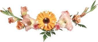 И это все о ней — Куклы Dawn Adams (Даун Адамс): Ashton Drake