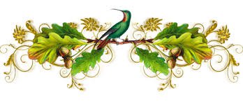 И это все о ней — Куклы Dawn Adams (Даун Адамс): Ashton Drake