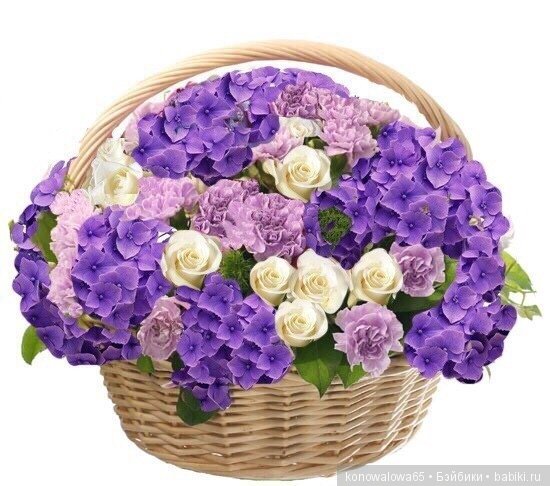 И это все о ней — Куклы Dawn Adams (Даун Адамс): Ashton Drake