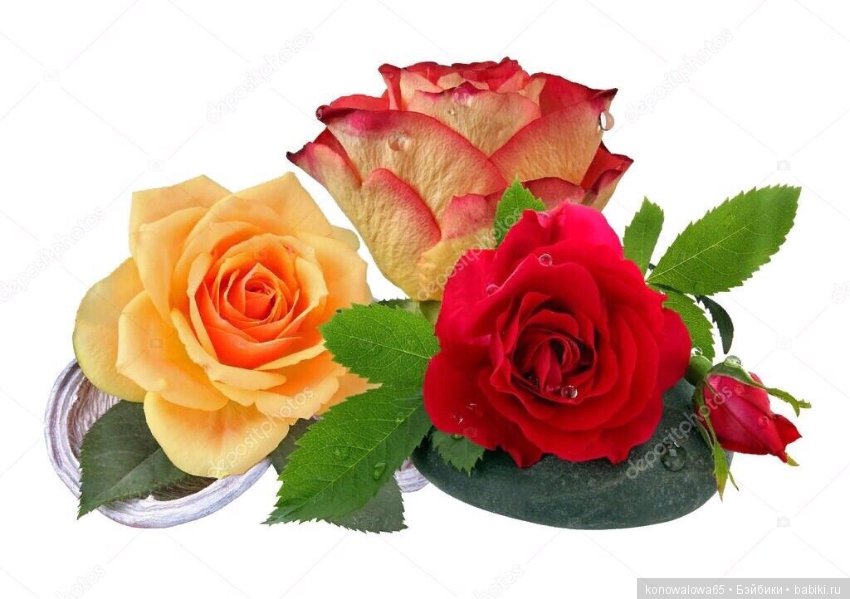 И это все о ней — Куклы Dawn Adams (Даун Адамс): Ashton Drake