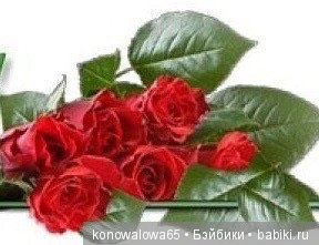 И это все о ней — Куклы Dawn Adams (Даун Адамс): Ashton Drake