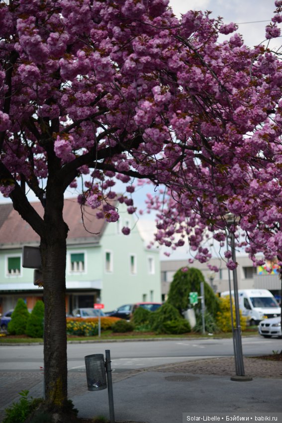 Весна и куколки Gabriele Müller на прогулке