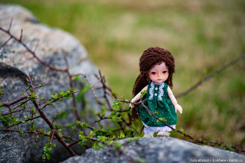 Баболиша на прогулке. Много фотографий (фото 4)