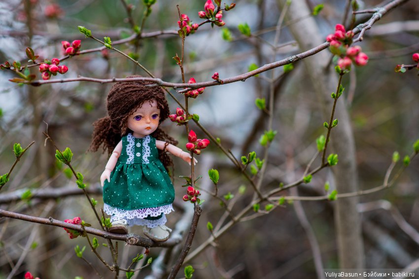 Баболиша на прогулке. Много фотографий