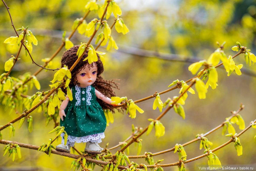 Баболиша на прогулке. Много фотографий (фото 10)