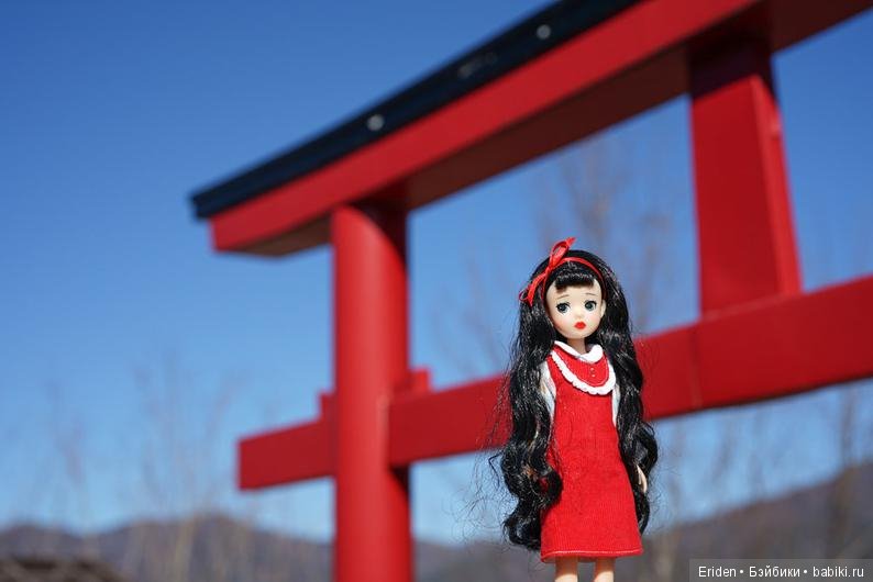 Предзаказы на корейских фешн-кукол (фото 5)