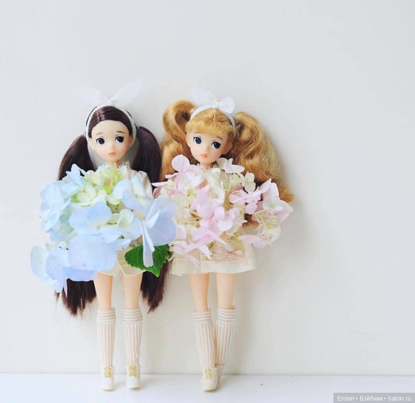 Предзаказы на корейских фешн-кукол