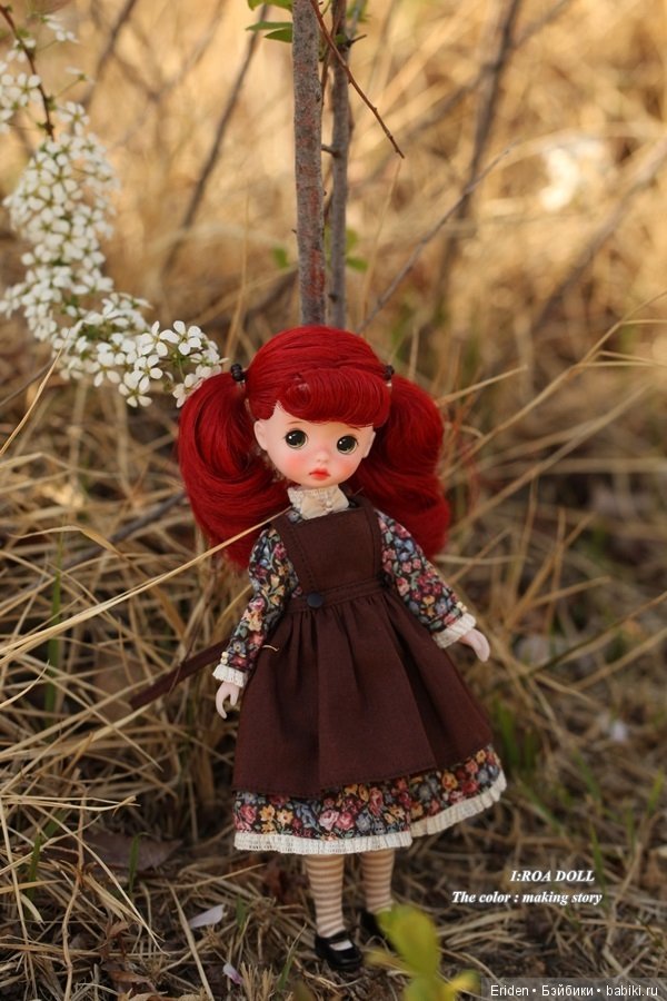 Предзаказы на корейских фешн-кукол