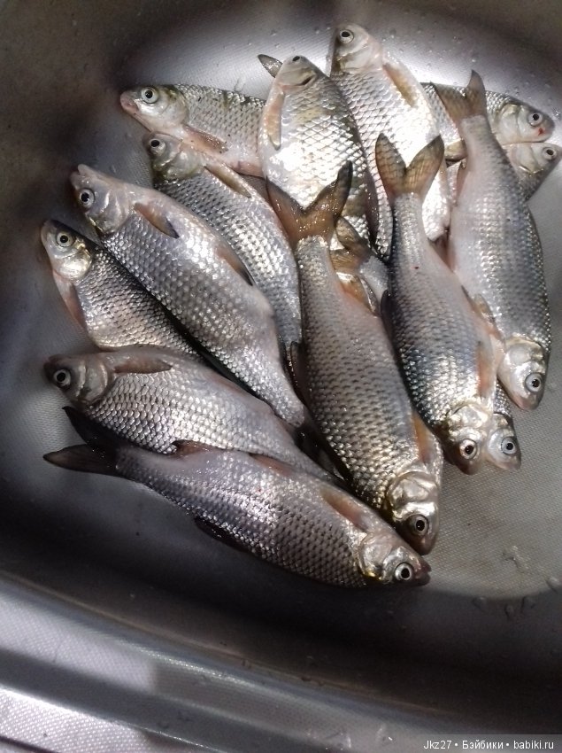 Нужна помощь — Болталка и разговоры обо всем: жизнь