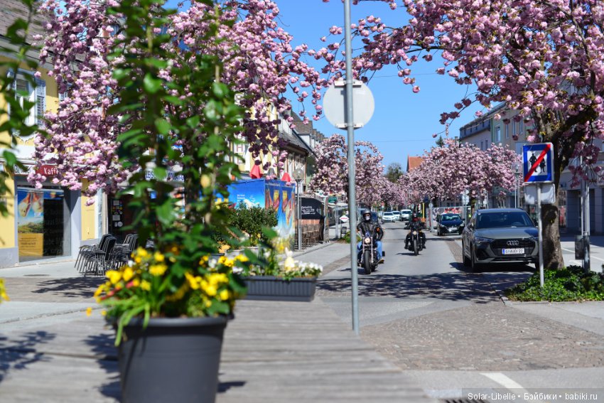 Веселая пасха — Куклы Susi Eimer (Сюзи Эймер): Gotz